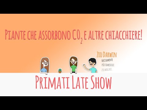 Video: Perché le piante del deserto assorbono la CO2 di notte?