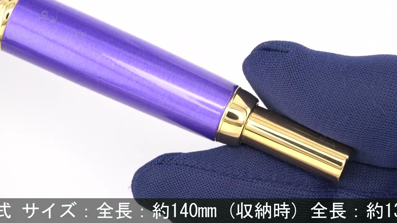 PILOT パイロット 万年筆 2019年限定 キャップレス デシモ メタリック