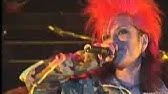 Hide Bacteria Live Youtube