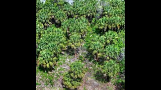 Residential for sale - 830 Nightengale Street SW, Palm Bay, FL 32908 Residential for sale - 830 Nightengale Street SW, Palm Bay, FL 32908