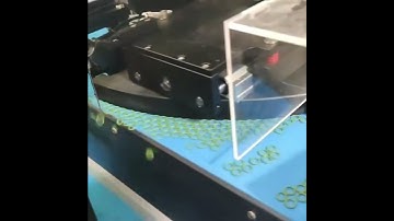 small green o ring seals visual inspection #visualinspection #opticalsorting #automatedinspection