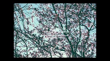 قران كريم ارح قلبك وسمعك #quran #قران #تيك_توك #اكسبلور #لايك #ترند #حالات_واتس#سعود_الشريم