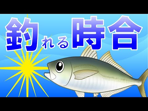【時合とアジング】釣りで大切なスキル「変化」と「自然」を感じる