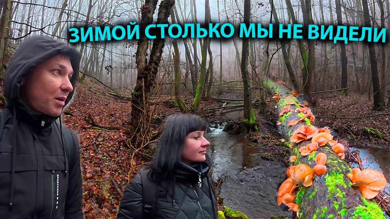 Где растут грибы зимой? Мы покажем!!!