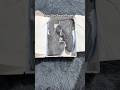 #jordan#jordan5 #sneakers #shopping #shoes #unboxing #style #sneakerhead #shoes