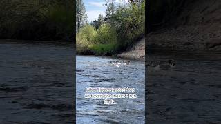Why Interest Rates Dropping Won't Help You