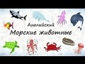 Морские животные на английском.