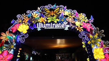 🌸Illuminate returns to San Antonio Botanical Garden 🌺