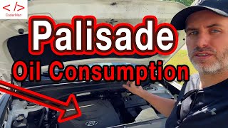 The 2020 Hyundai Palisade Is Burning Through Oil!