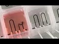 3D-printed heart-on-a-chip with integrated sensors