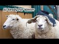 Animals Are Ready For Winter