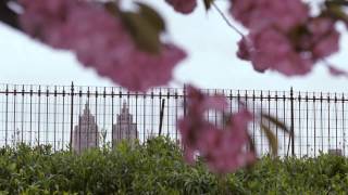 New York Movie Clip - New York I Love You Cz