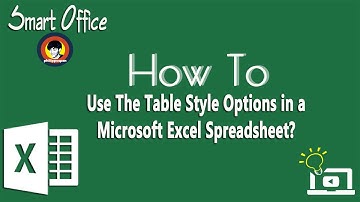 How To Use The Table Style Options in a Microsoft Excel Spreadsheet?