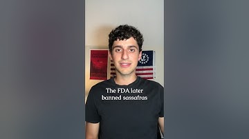 The Crazy Wonder Drug History of the Sassafras Tree