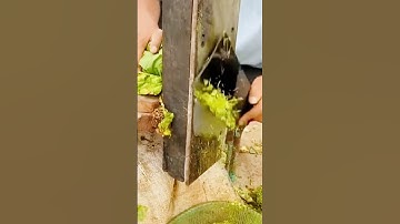 cool way to slice leaves thin and soft #shorts