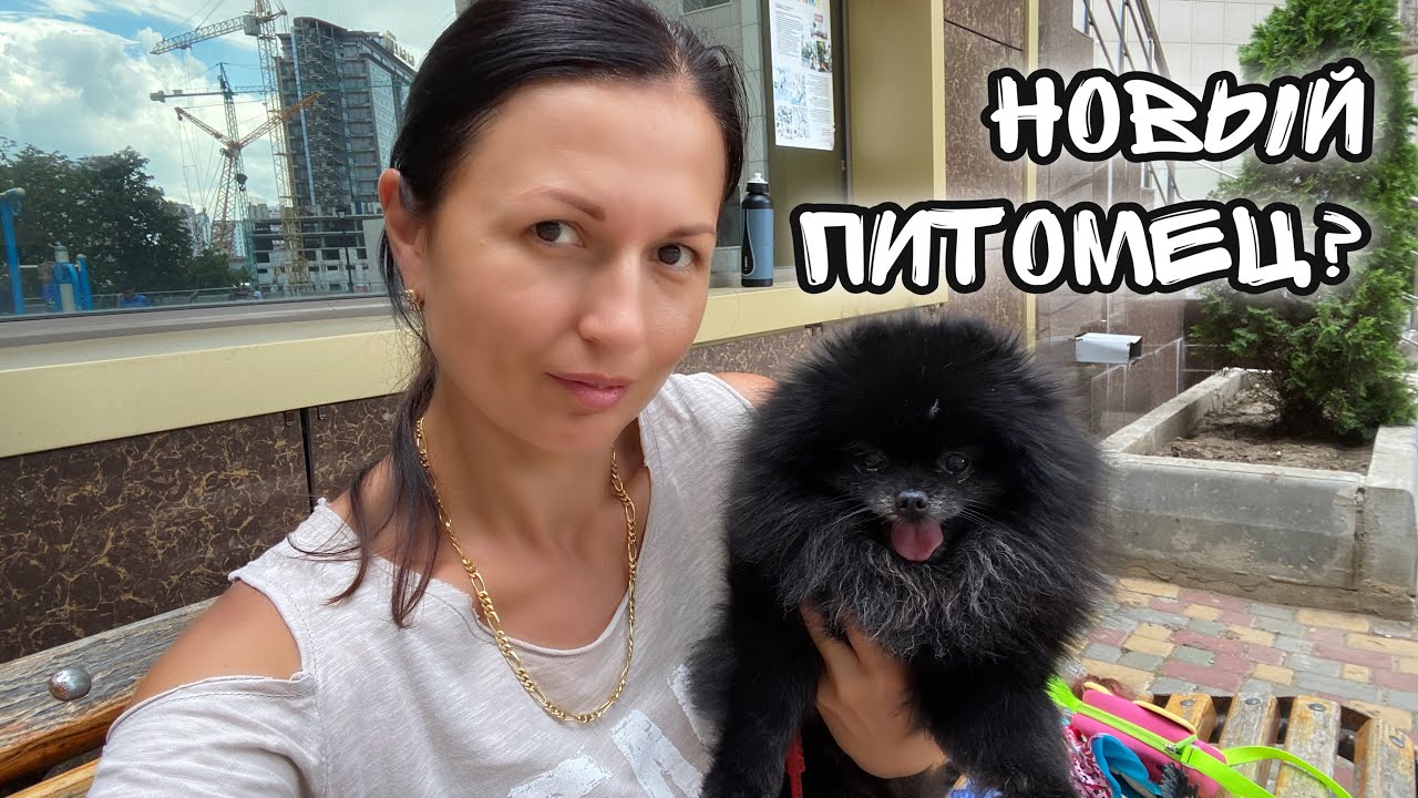 Настя в кино, а у Дианы выпал зуб / Завели собаку?