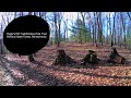 Peggy's Hill Trail#pennsylvania #michauxstateforest #hiking#smokeyholetrail