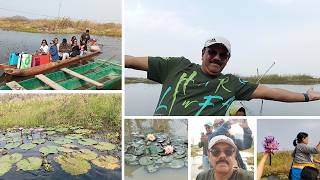 [ MANIPUR 5 ] IMA Market Magic to Loktak Lake: Manipur's Phumdi Paradise via Moirang!