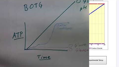 Behavior Over Time Graphs: Part 2