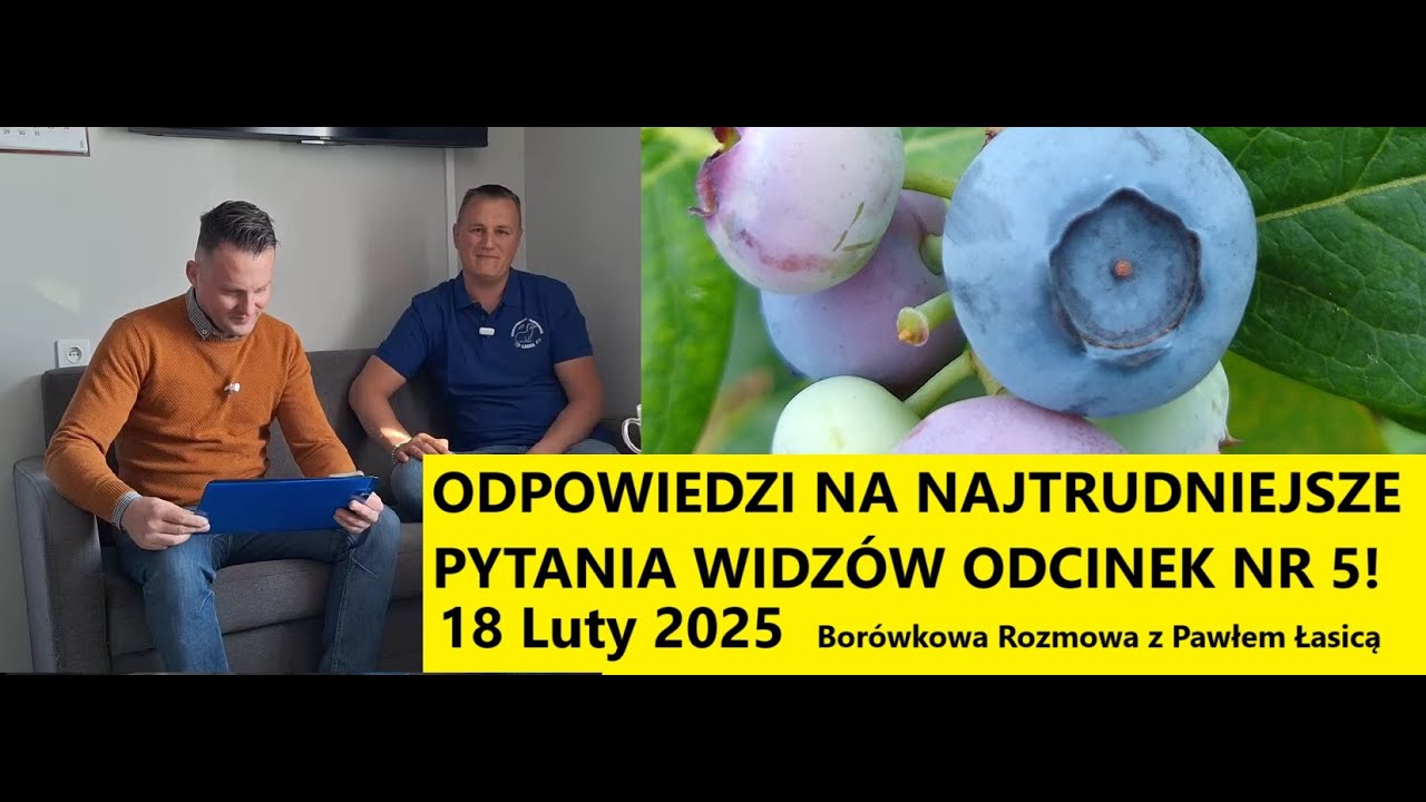 Odpowiedzi na Najtrudniejsze Pytania Widzów Borówkowa Rozmowa z Pawłem Łasica