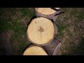 First DJI Mini 4 Pro Flight - Deer Camp