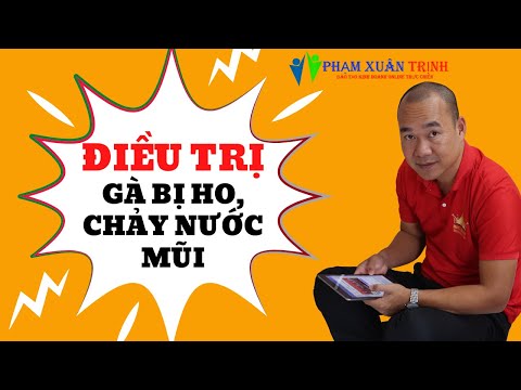 Điều trị gà bị ho, chảy nước mũi hiệu quả cùng bác sĩ thú y Phạm Xuân Trịnh | Foci