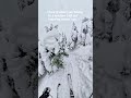 HEAVEN #fypシ゚viral #snowboarding #skiingstunts #fypシ゚viral #skisnowboard #ski #snowsports #skigear