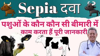 Sepia Homoeopathic Medicine / Sepia दवा पशुओं में कौन कौन सी बीमारी में काम करता हैं
