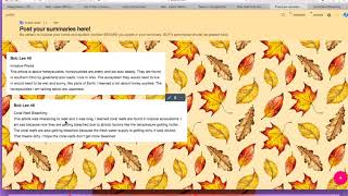 Screencast: Feedback