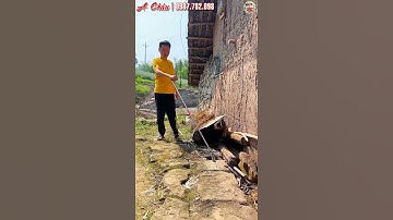 Kẹp Rắn Kẹp Lươn Từ Xa An Toàn Tiện Lợi 0987782098 #fishing #netfishing #outdoors #catchfish #life