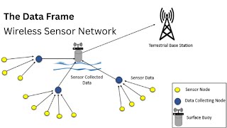 1.8b The Data Frame | Frame Types | Wireless Sensor Network