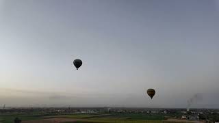 Hot Air Balloon At Sunrise Over Luxor, Egypt