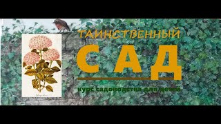 Гортензия (растение из сада). Курс занимательного садоводства Таинственный сад. Блок Растения.