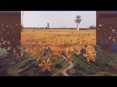 شيلة لاضاق صدرك كلمات الشاعر سالم الحربي أداء المنشد عمر عوده