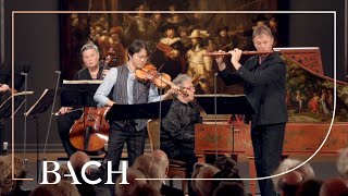 Bach  Brandenburg Concerto no. 5 in D major BWV 1050  Sato | Netherlands Bach Society