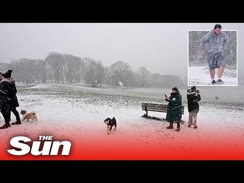 London hit by winter whiteout as blizzards sweep country and big freeze set to last until Wednesday.