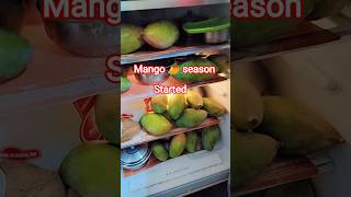 It's mango season 🥭#mango #summer #fruit #youtubeshorts #trending #new #seasonal#shorts #mangoseason
