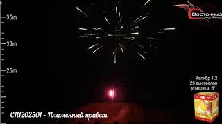 СП1202501   Пламенный привет