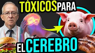 🧠 10 ALIMENTOS TOXICOS Para El CEREBRO - Oswaldo Restrepo RSC