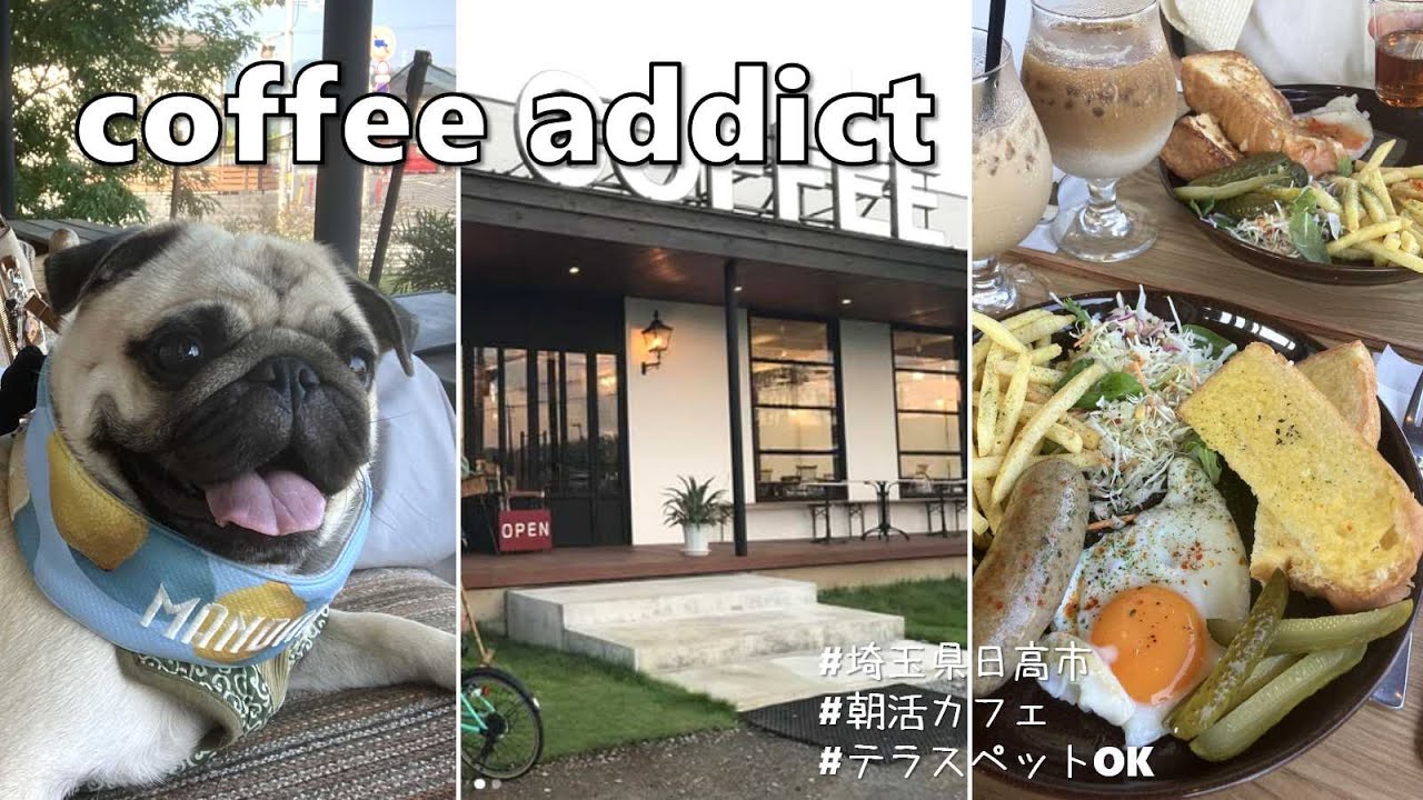 【埼玉/日高】犬連れOK🐶パグと朝活morning☀｜おしゃれカフェcoffee addictが最高だった！☕