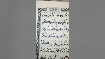 الم يروا إلى الطير مسخرات في جو السماء ما يمسكهن إلا الله. سورة النحل. قراءة جميلة الشيخ بندر بليلة.