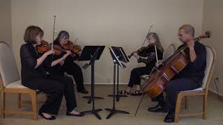 Allegro Quartet - Thunderstruck (cover)