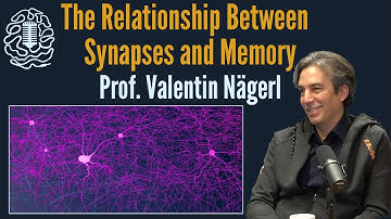 Unlocking Memory: The Synapse