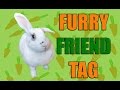 Furry Friend Tag | Algo pasa con Mery