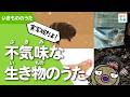 【実写版】不気味な生き物のうた