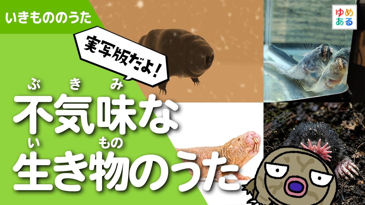 【実写版】不気味な生き物のうた