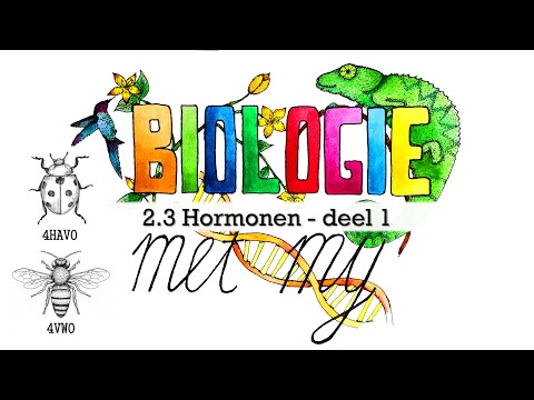 Video: Worden alle hormonen in de hersenen geproduceerd?