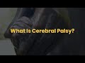 The Kryder Law Group, LLC Accident and Injury Lawyers Chicago Medical Malpractice Lawyers https://www.kryderlaw.com/chicago-medical-malpractice-lawyer/cerebral-palsy/ According to the Centers for Disease Control and Prevention (CDC), cerebral palsy (CP) is a neurological...