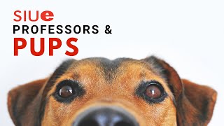 Good Luck on Your Finals! SIUE Professors and their Pups Wish Students Well