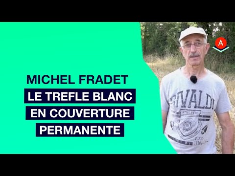 Vidéo: Cultiver une pelouse de trèfle blanc - Utiliser le trèfle comme substitut d'herbe - Savoir-faire en jardinage